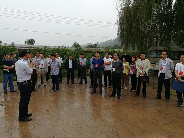 区领导项目现场调研.jpg