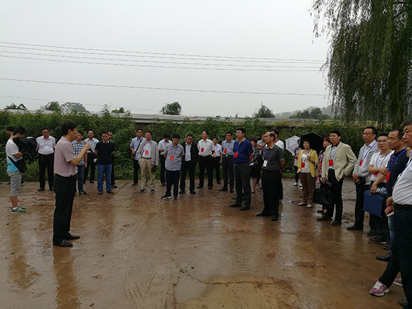 区领导项目现场调研2.jpg